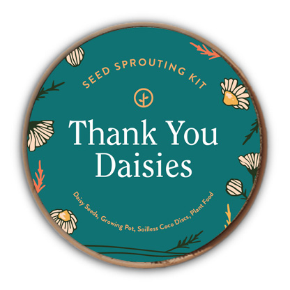 thank-you-daisy