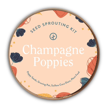 champagne-poppy