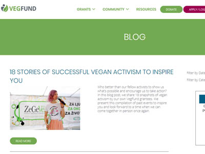 vegan blog thumbnail