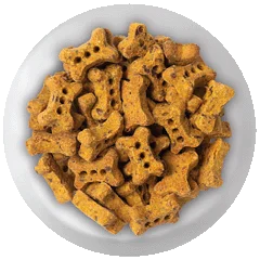 crunchy dog treats image